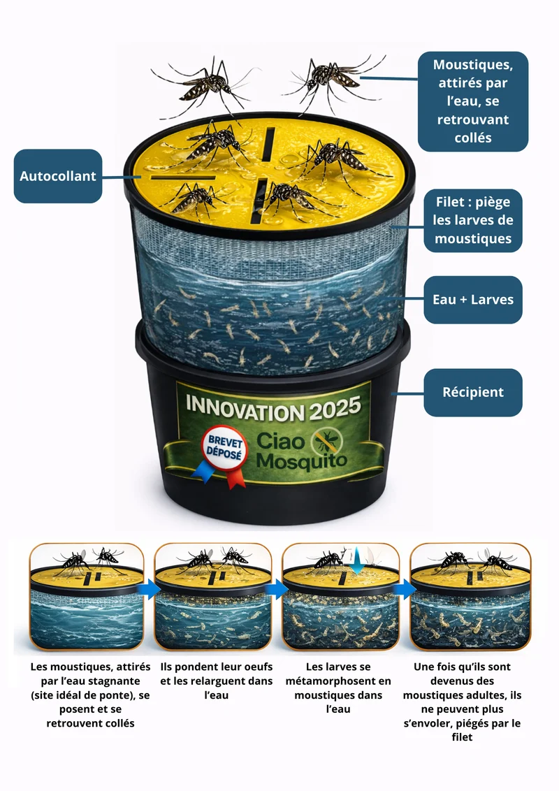 Piège moustique tigre écologique & larves Pack complet Ciao Mosquito®
