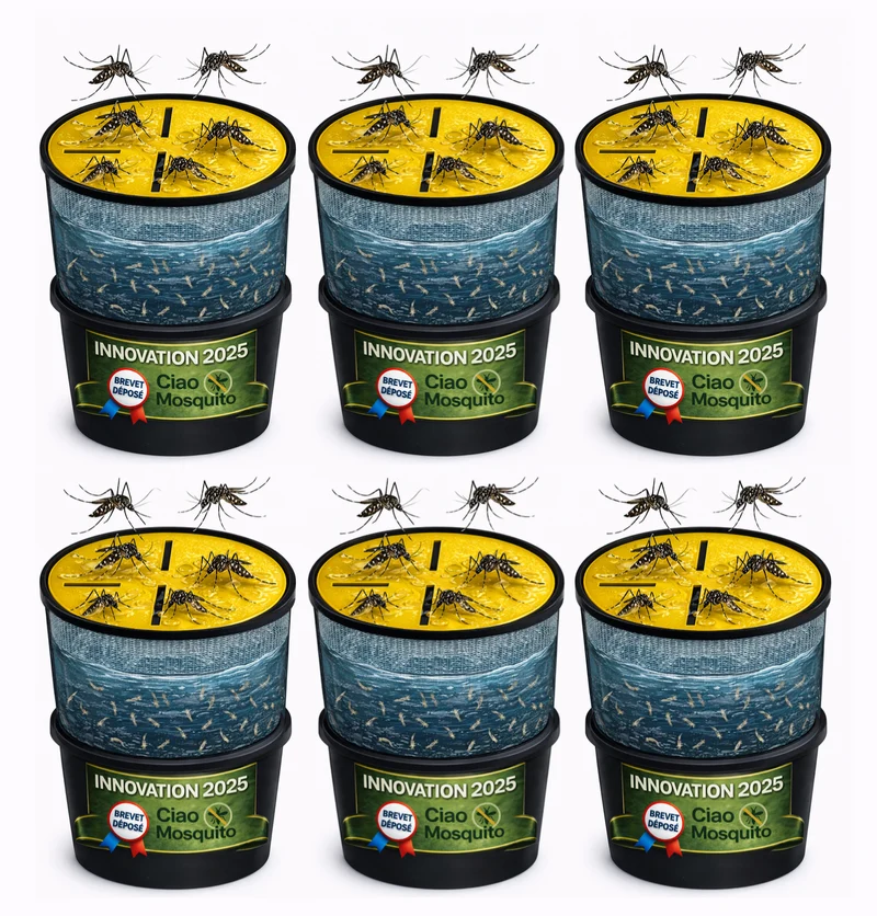 Piège moustique tigre écologique & larves Pack complet Ciao Mosquito®