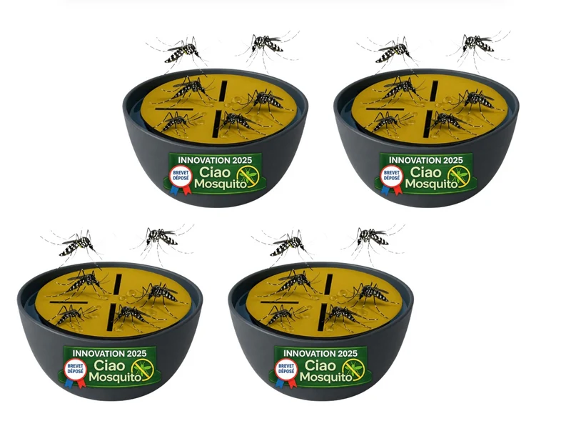 Lot de 4 Pièges à Moustiques Tigres & Larves Intérieur / Extérieur