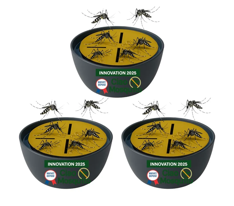Lot de 4 Pièges à Moustiques Tigres & Larves Intérieur / Extérieur