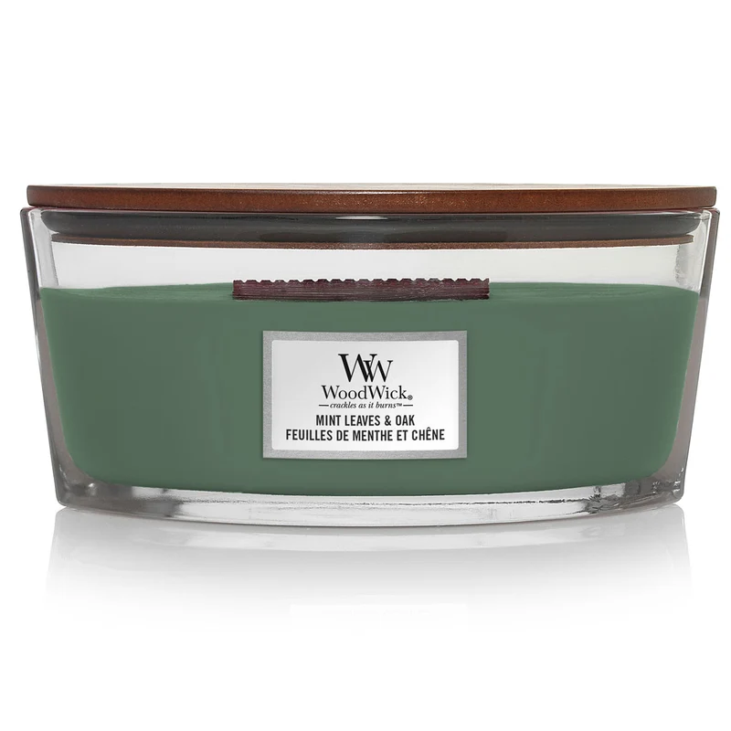CANDELA ELLISSE JAR ELLIPSE MINT LEAVES & OAK