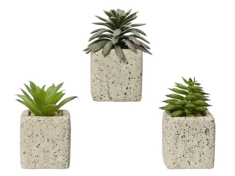 Pianta finta piccola aloe in vaso, rustico, realistica con Echinocactus, Aloe, Echeveria - 4,5x8cm - Kaemingk
