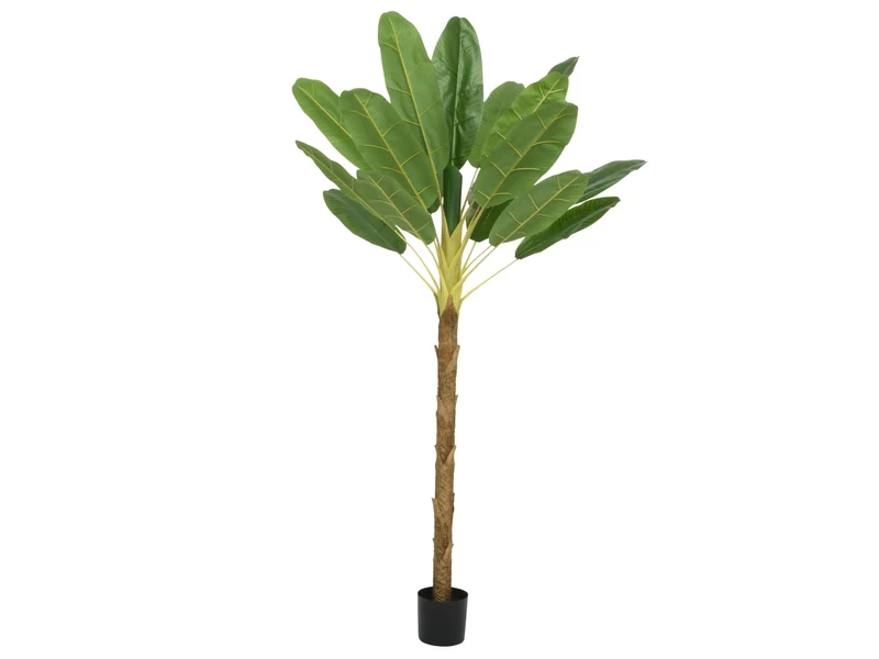 Pianta finta alta banano da interno 280cm realistica in vaso di plastica, stile Jungle - Kaemingk