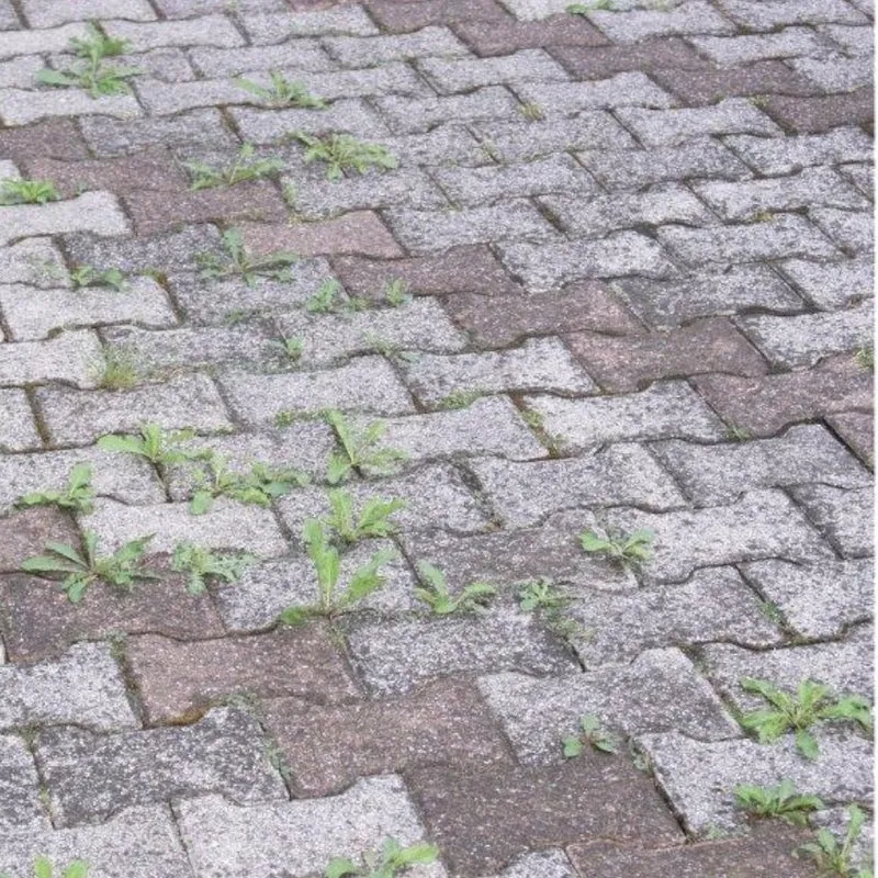 Diserbante aceto corroborante concentrato per erba 1 lt