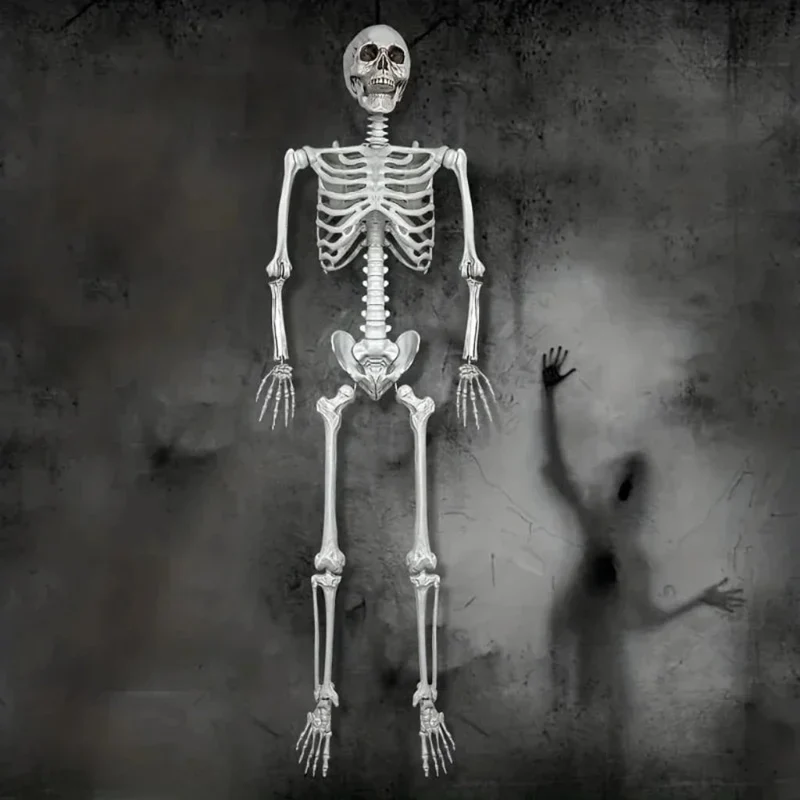Life-Size Halloween Decorative Skeleton with Movable Joints for Home