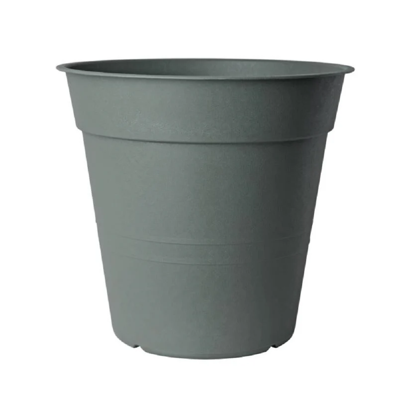 Vaso Fly Oliva D.10 Cm