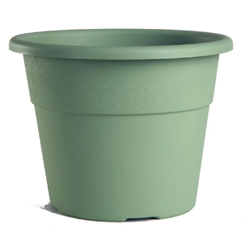 Vaso Hedere Salvia D.25 Cm