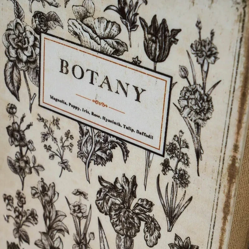 Cassaforte Cassetta Di Sicurezza Finto Libro Botanica 2 Chiavi 16x24x5cm