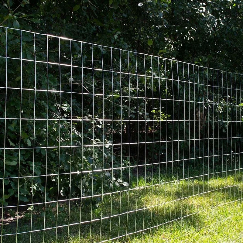 Rete Metallica Elettrosaldata 2 x 25 mt Maglia 50x75mm Zincata per Recinsione