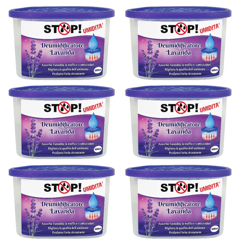 6pezzi Deumidificatore Casa Portatile 500ml contro Muffa Assorbi Umidità Lavanda