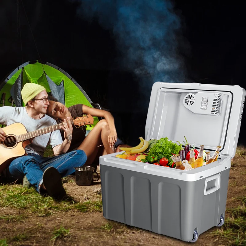 Frigorifero Elettrico Portatile 40L Caldo/Freddo Grigio Spina 230V e 12V Grigio