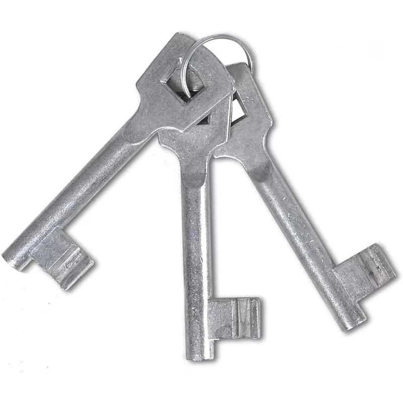 Cancello Pedonale Cancelletto Recinzione Giardino Acciaio 106x200 con Chiave