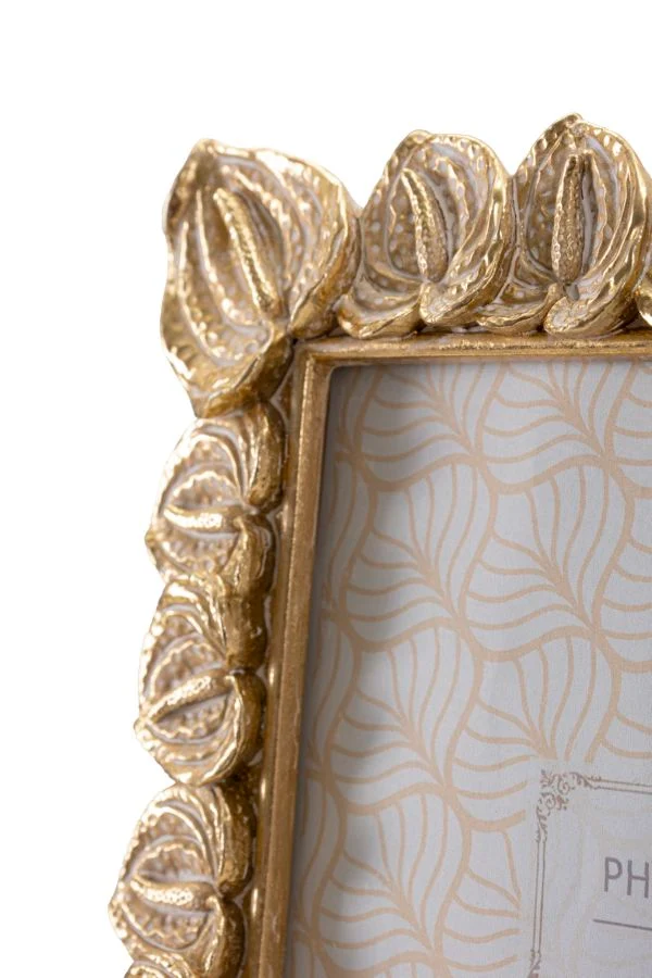 Cornice Anthurium 20,5x2x26 cm in Resina e Vetro Oro
