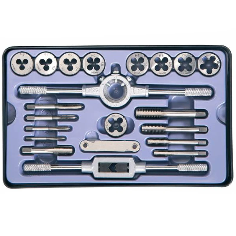 Kit Filettatura da 21 Pezzi in Acciaio con Scatola Porta Attrezzi Metallo Grigio