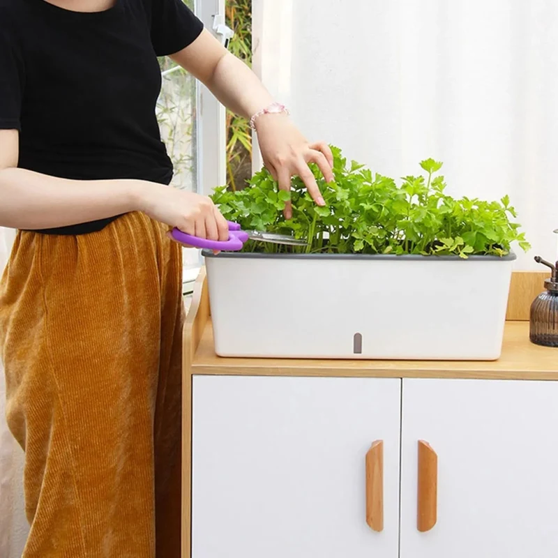 Zelfwaterende Plantenbak – Bloempot met Waterreservoir