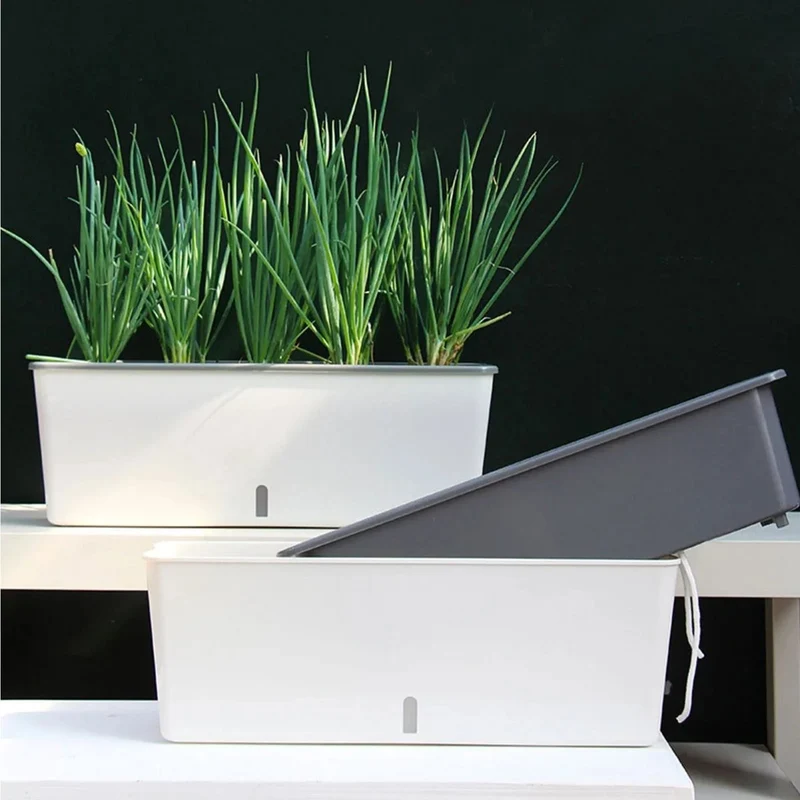 Zelfwaterende Plantenbak – Bloempot met Waterreservoir
