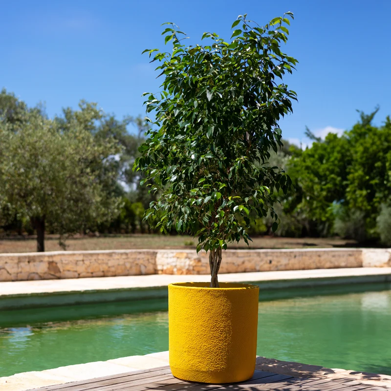 Vaso cilindro Bouclé