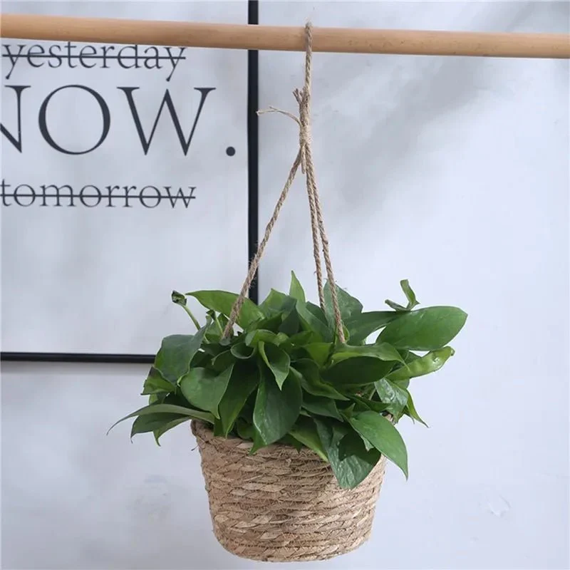 Hangplantenmand – Gevlochten jute plantenhanger met natuurlijke uitstraling en ruimtebesparend ontwerp