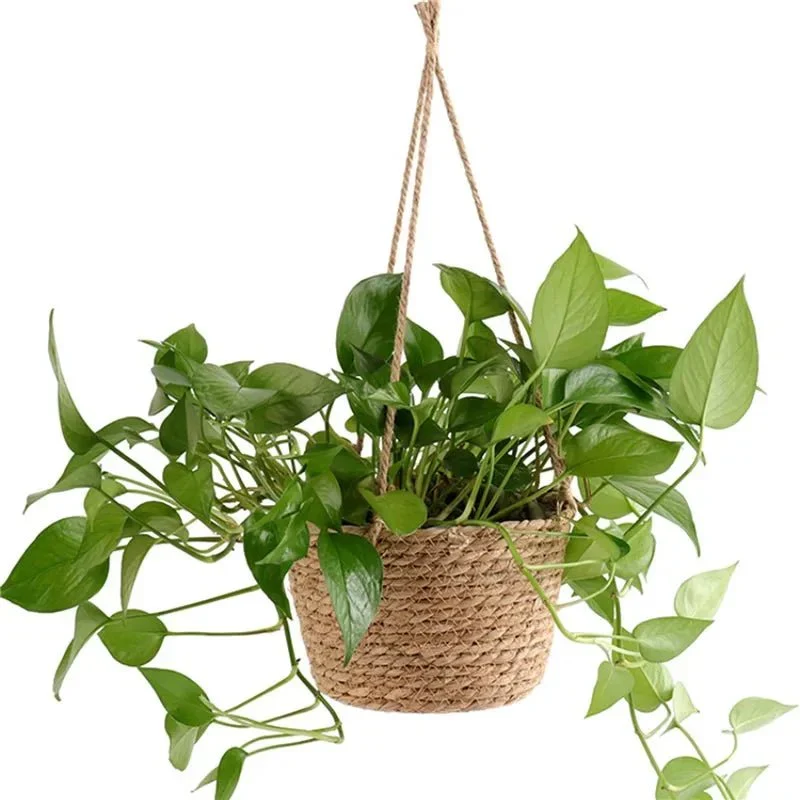 Hangplantenmand – Gevlochten jute plantenhanger met natuurlijke uitstraling en ruimtebesparend ontwerp