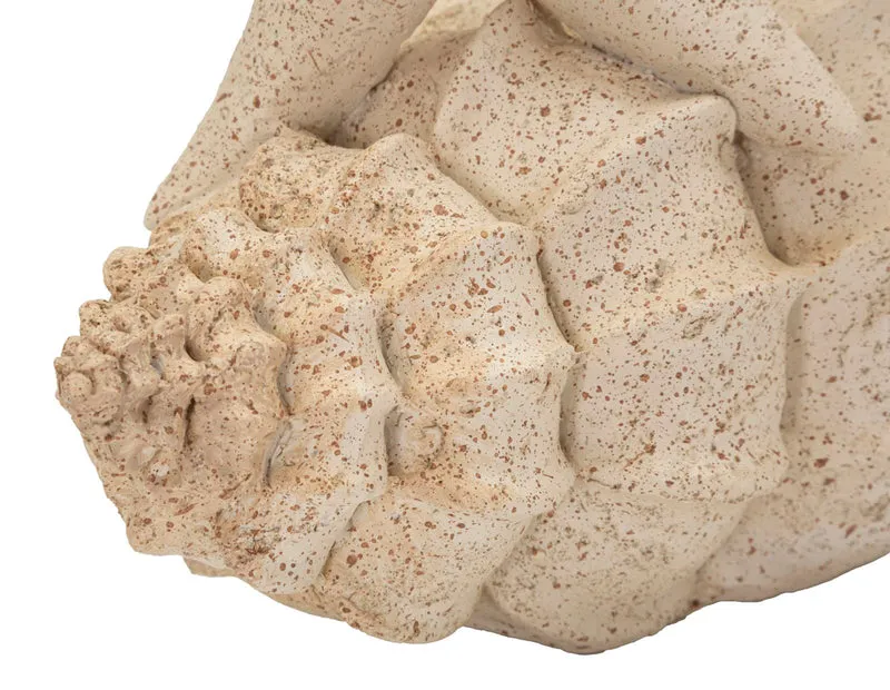 Decorazione Stella Marina Sand 18x13x21,2 cm in Resina Beige