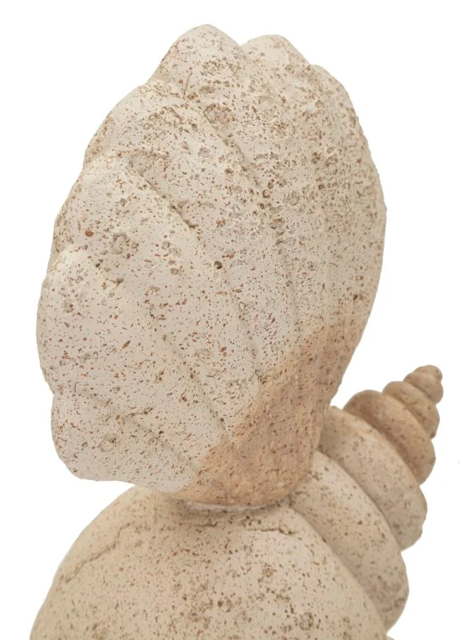 Decorazione Conchiglia Sand 17,2x10x30,2 cm in Resina Beige