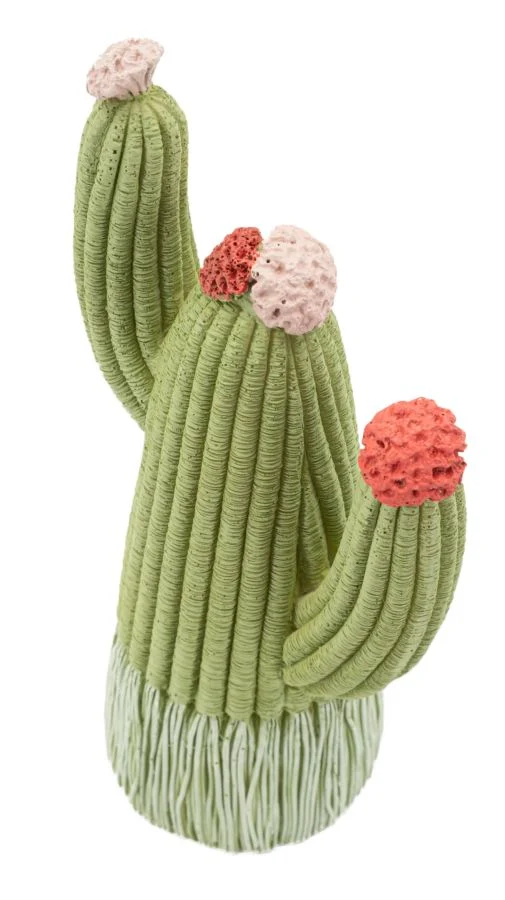 Cactus 10,5x6,5x20,5 cm in Resina Multicolor