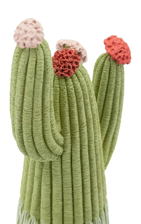 Cactus 10,5x6,5x20,5 cm in Resina Multicolor