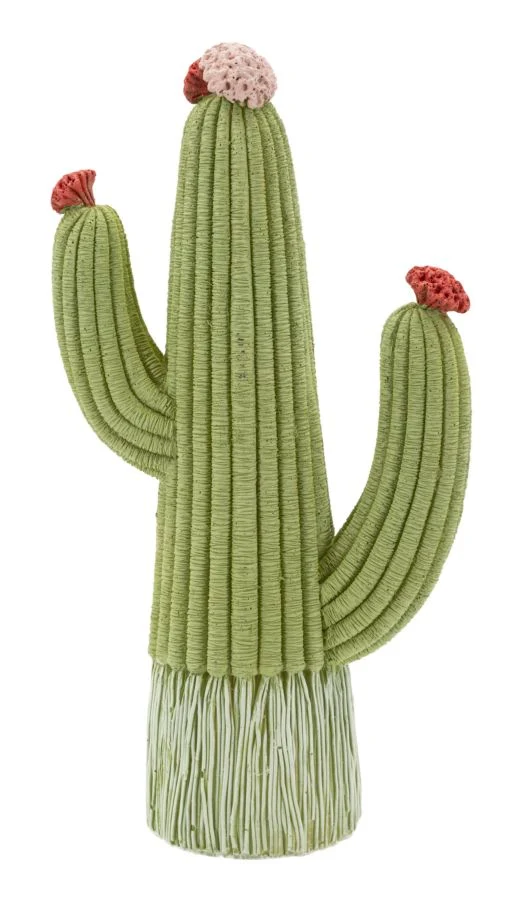 Cactus 13x7x25 cm in Resina Multicolor