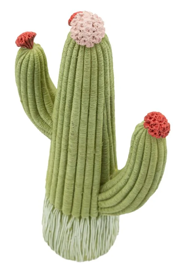 Cactus 13x7x25 cm in Resina Multicolor
