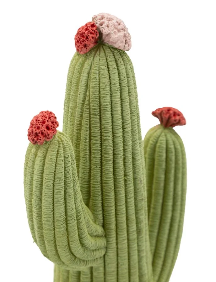 Cactus 13x7x25 cm in Resina Multicolor