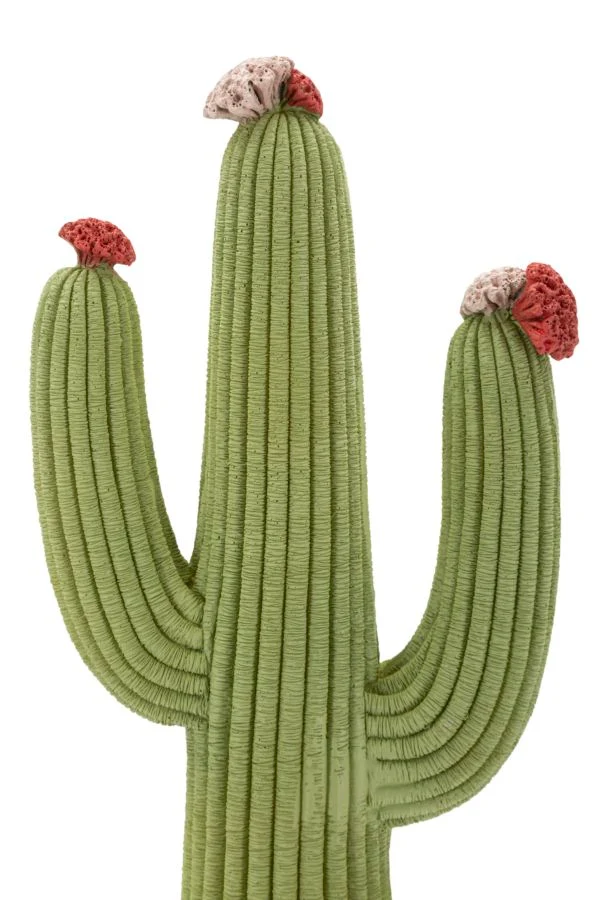 Cactus 16,5x11x45 cm in Resina Multicolor