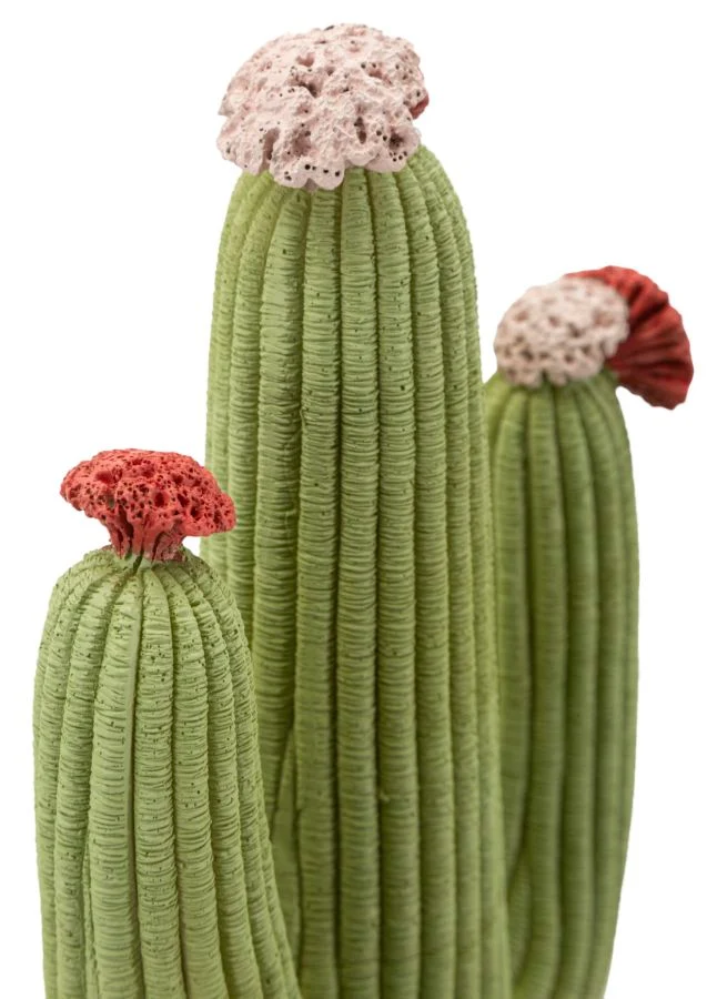 Cactus 16,5x11x45 cm in Resina Multicolor