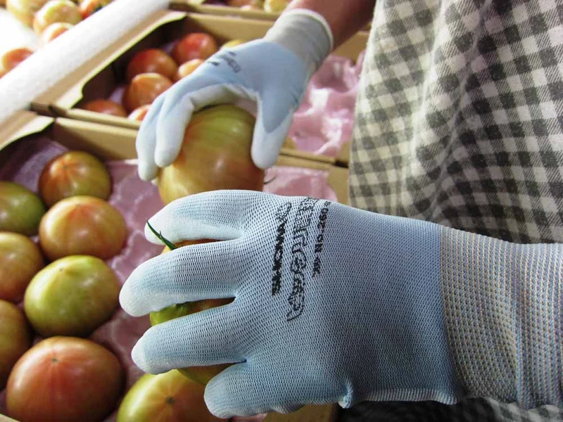 SHOWA 260 Breathable Anti-Slip Coating Glove (10 pairs set)