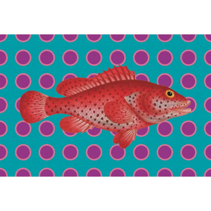 Tovaglietta All'Americana Plastica Pesce Rosso 44x30 cm