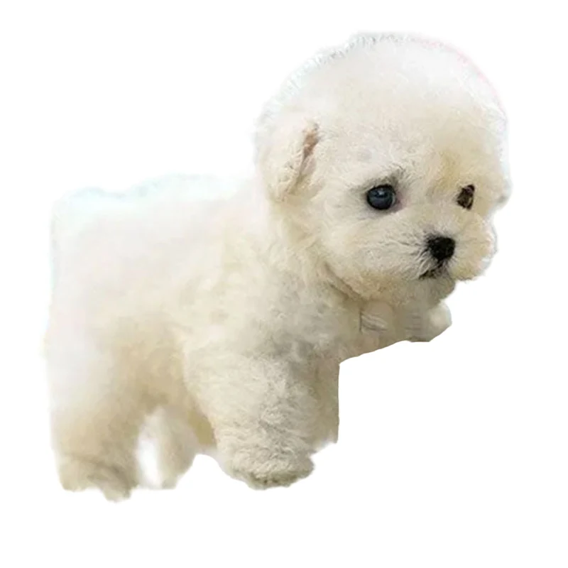 Realistic Interactive Plush Dog with Moving Features