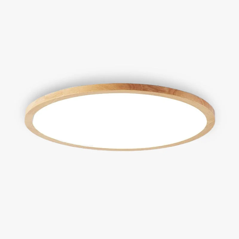 Modern dimmable LED ceiling lamp with three-color lighting for living room and bedroom