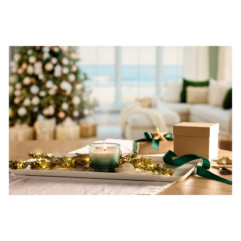 Candela Piccola Chesapeake Bay Candle Coastal Snowfall