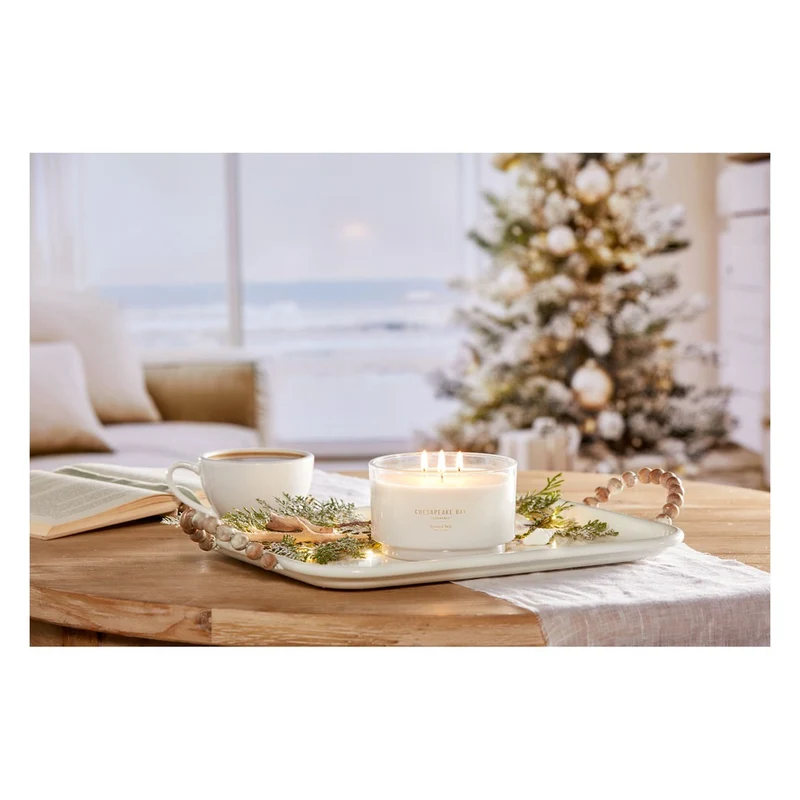 Candela a 3 Stoppini Chesapeake Bay Candle Winter Sea