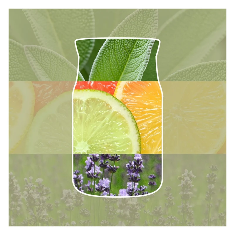 Profumatore per Auto Yankee Candle Car Jar Ultimate Sage & Citrus