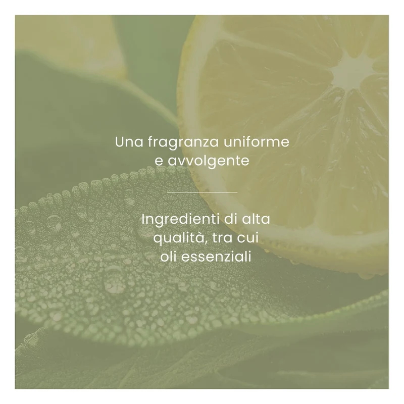 Profumatore per Auto Yankee Candle Car Jar Ultimate Sage & Citrus