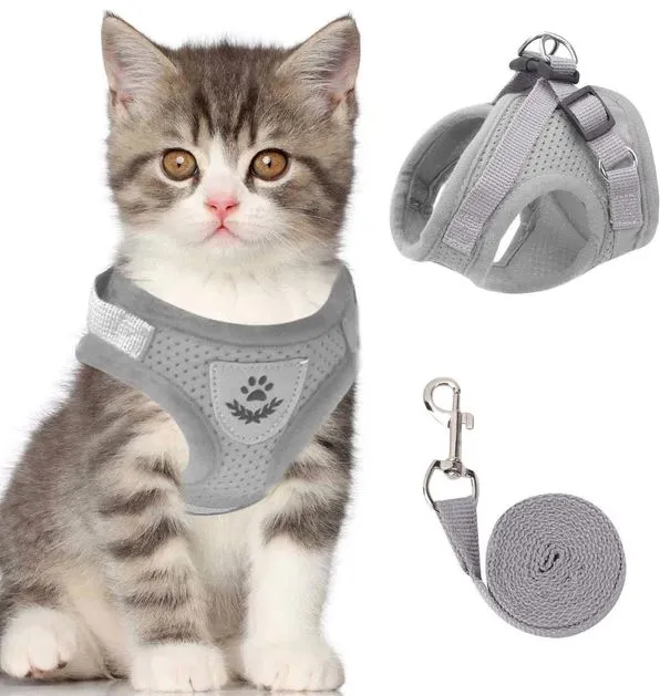 Kattentuigje met riem – Verstelbaar mesh met reflecterende streep