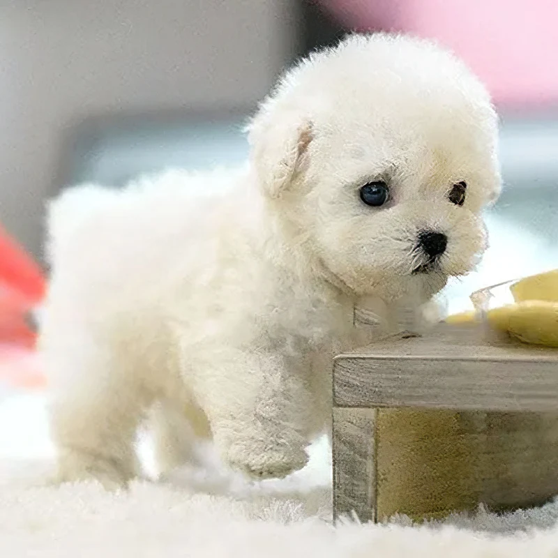 Cute Moving Puppy Toy with Sounds
