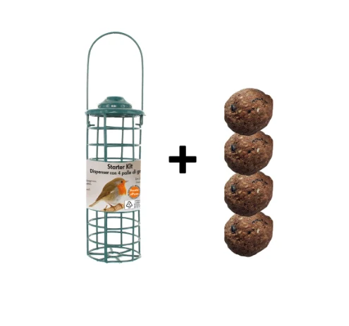 STARTER KIT DISPENSER CON 4 PALLINE