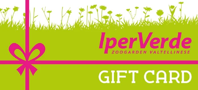 GIFT CARD IMPORTO LIBERO