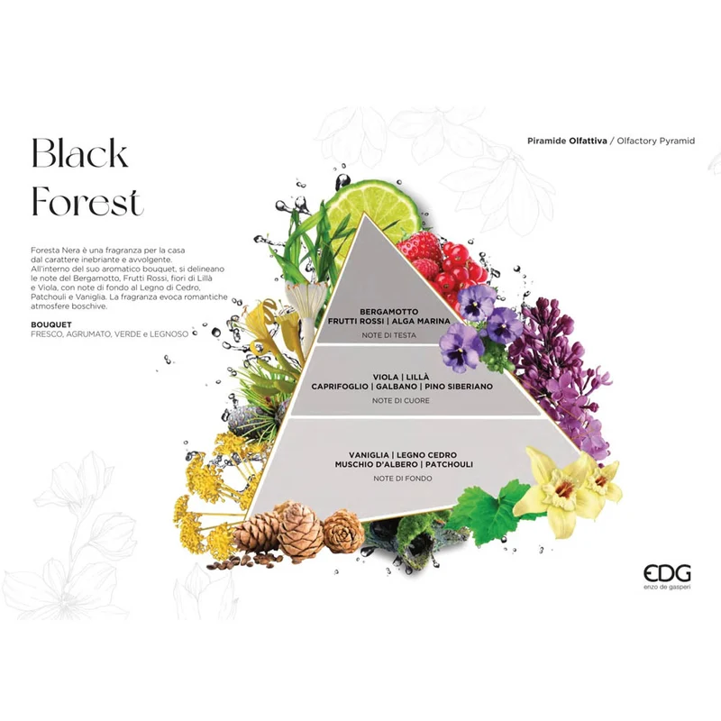 RICARICA PROFUMO PER AMBIENTE LUX FORESTA NERA 250ML