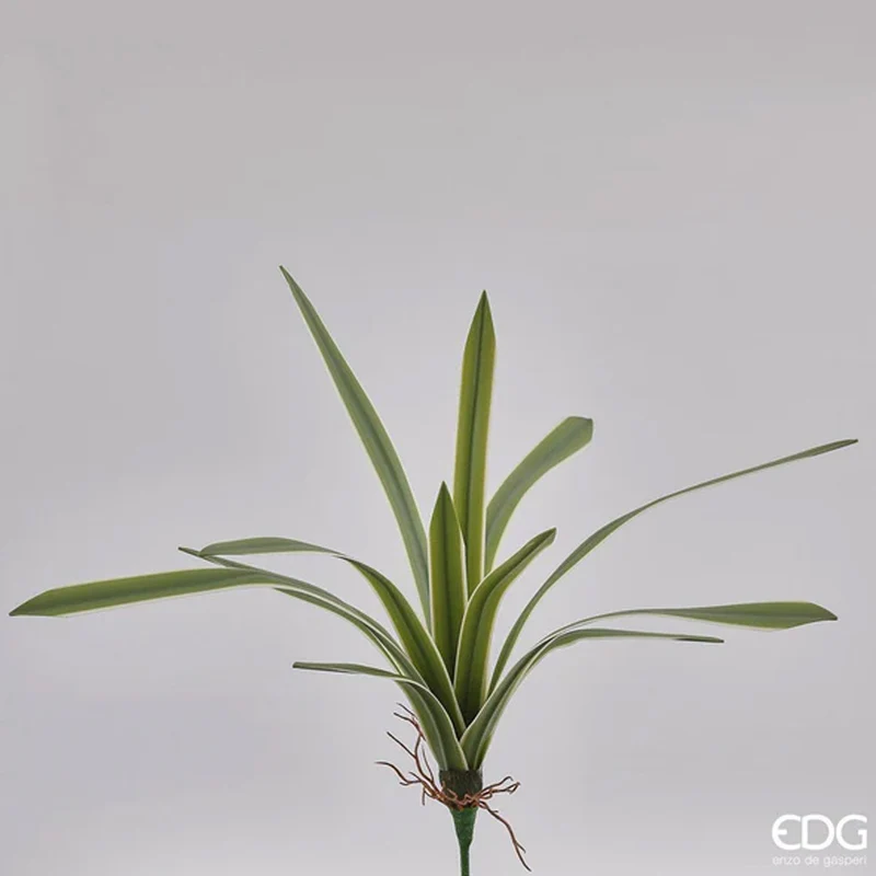 PIANTA ARTIFICIALE FALANGIO REAL H51CM 12 FOGLIE