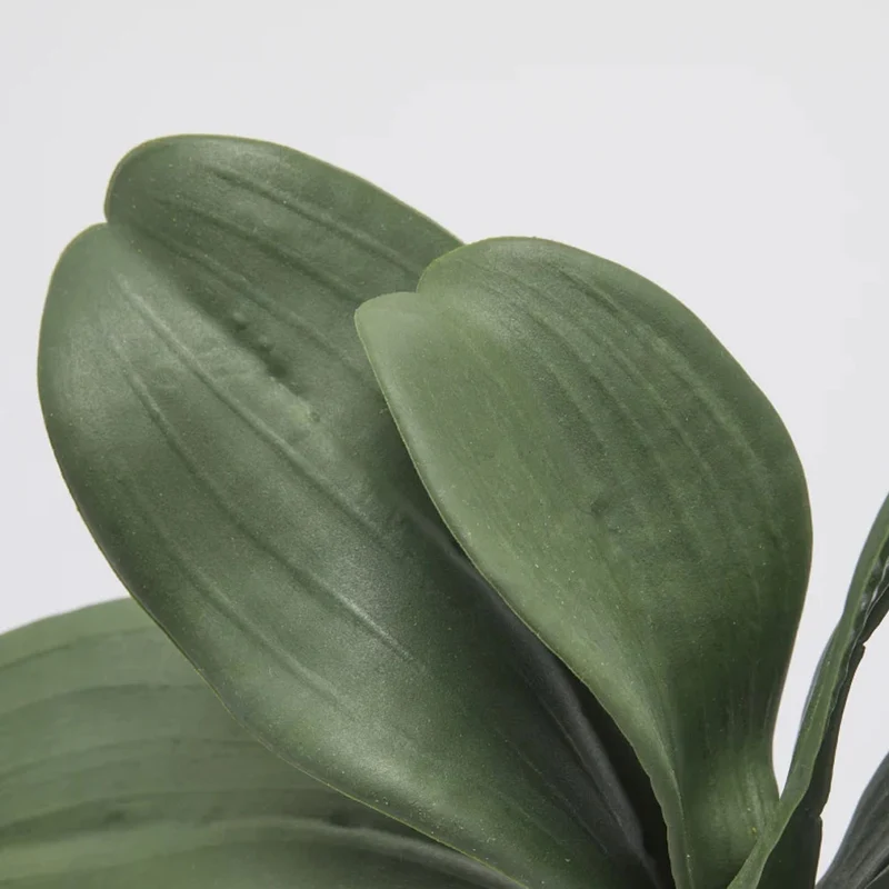 ORCHIDEA PHALAENOPSIS CON 5 FOGLIE ARTIFICIALE H27CM