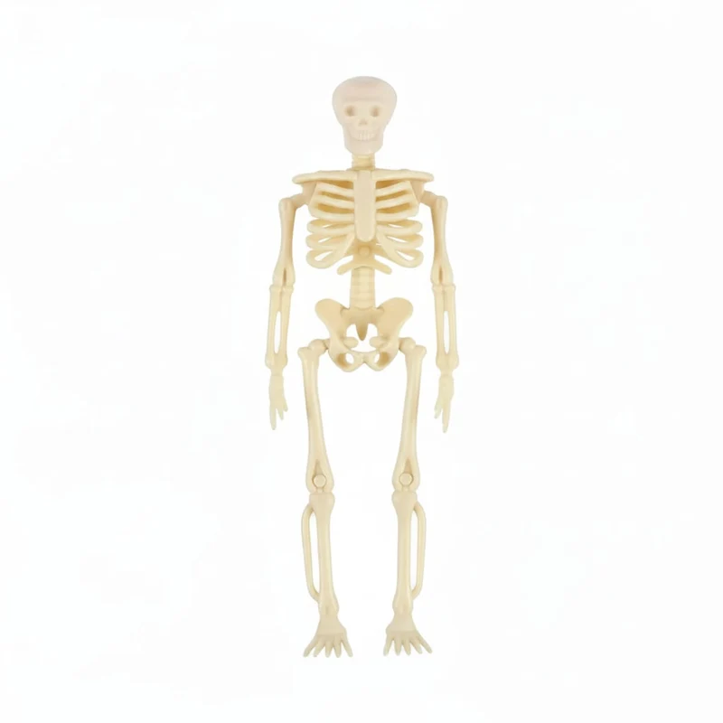 Spooky Skeleton Decorations with Hanging String Poseable Miniature Plastic Ornaments