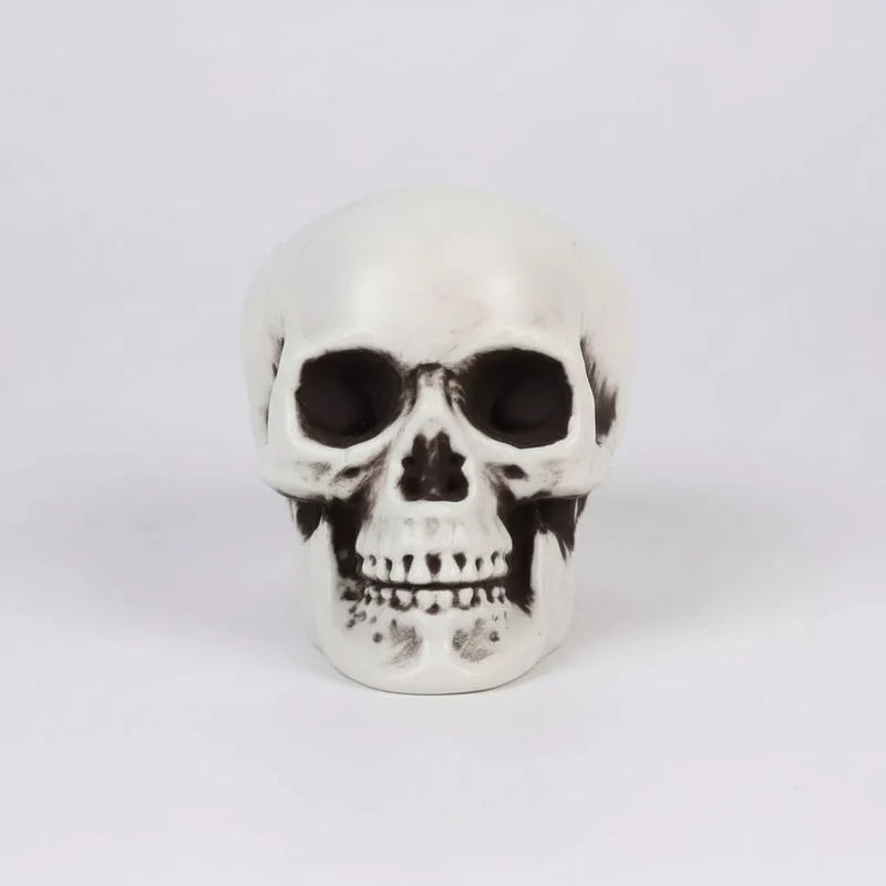 Halloween Skeleton Decorations Mini Matte Skull Set with Black Shading