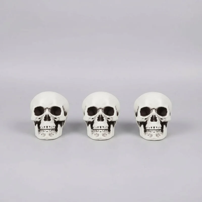 Halloween Skeleton Decorations Mini Matte Skull Set with Black Shading